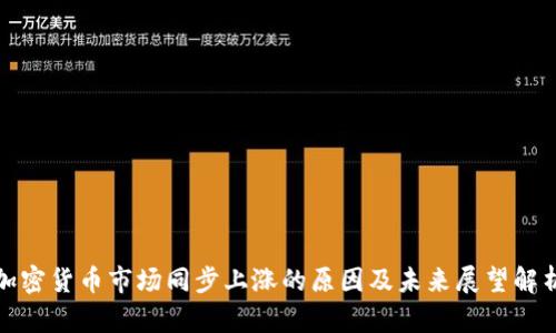 加密货币市场同步上涨的原因及未来展望解析