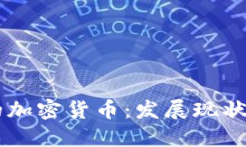国人自己的加密货币：发展现状与未来展望