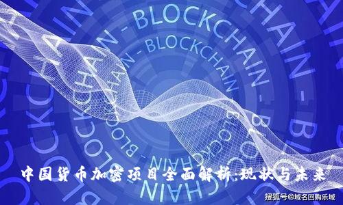 中国货币加密项目全面解析：现状与未来