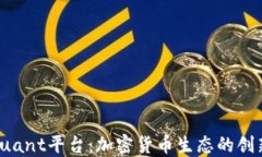 探索Quant平台：加密货币生