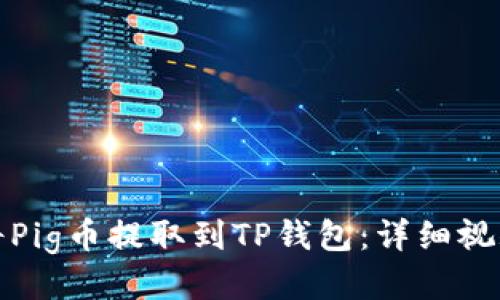 如何将Pig币提取到TP钱包：详细视频教程