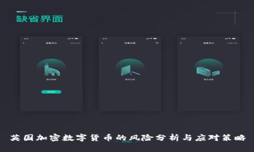 英国加密数字货币的风险分析与应对策略