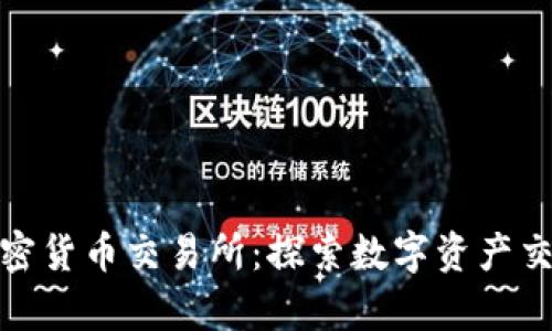 泰国持牌加密货币交易所：探索数字资产交易的新趋势