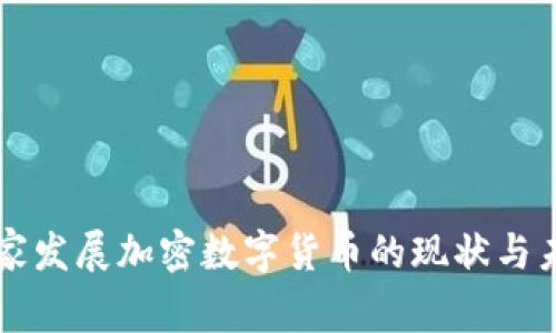 国家发展加密数字货币的现状与未来