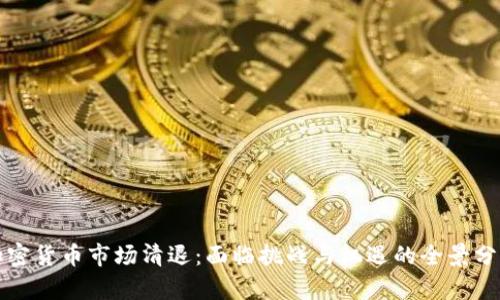 加密货币市场清退：面临挑战与机遇的全景分析