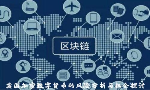 
英国加密数字货币的风险分析与机会探讨