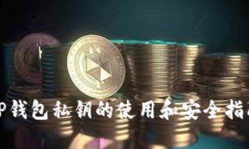 TP钱包私钥的使用和安全指南