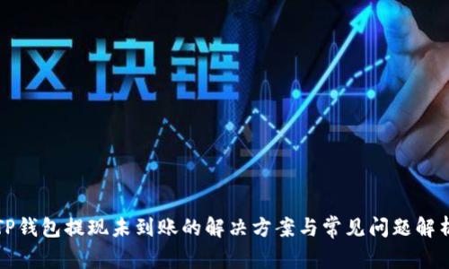 TP钱包提现未到账的解决方案与常见问题解析
