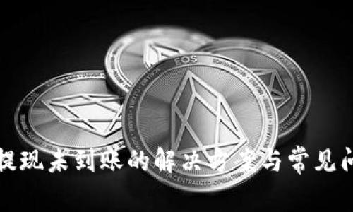 TP钱包提现未到账的解决方案与常见问题解析