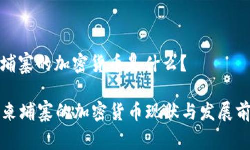 柬埔寨的加密货币是什么？

  柬埔寨的加密货币现状与发展前景
