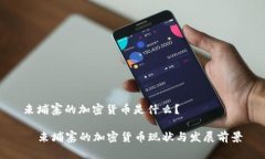 柬埔寨的加密货币是什么