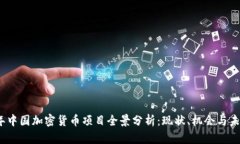 2023年中国加密货币项目全