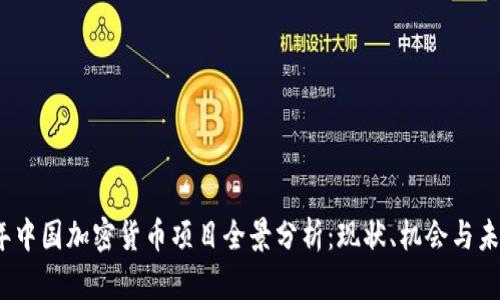 2023年中国加密货币项目全景分析：现状、机会与未来发展