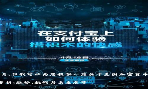 抱歉，我无法提供图片，但我可以为您提供一篇关于美国加密货币的详细分析文章和。

美国加密货币市场分析：趋势、挑战与未来展望