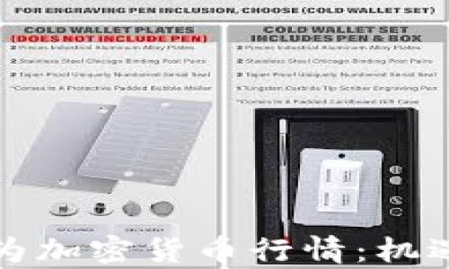 
深度解析英为加密货币行情：机遇与挑战并存