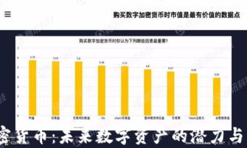 
WSCT加密货币：未来数字资产的潜力与市场分析
