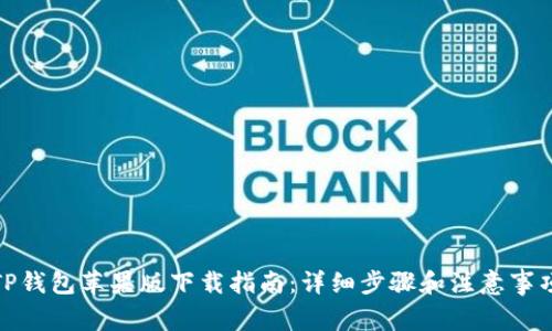 TP钱包苹果版下载指南：详细步骤和注意事项