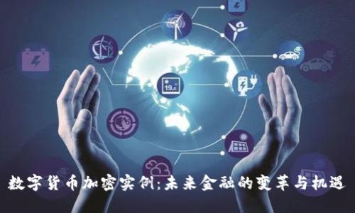 数字货币加密实例：未来金融的变革与机遇