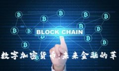 HYB数字加密货币：未来金融的革新者