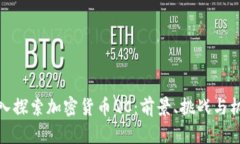 深入探索加密货币QC：前景、挑战与机会