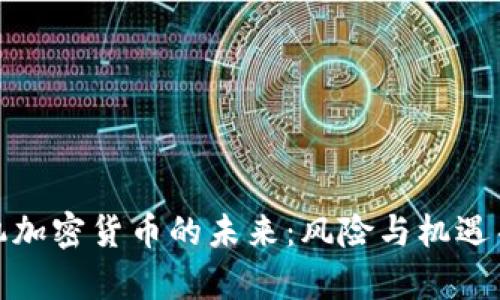 投机加密货币的未来：风险与机遇并存