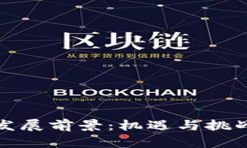 加密货币的发展前景：机遇与挑战的深度分析