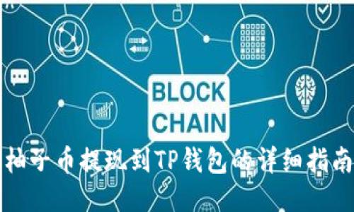 柚子币提现到TP钱包的详细指南
