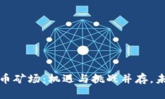 揭秘新疆加密货币矿场：