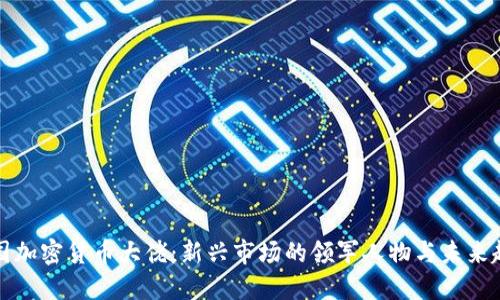 韩国加密货币大佬：新兴市场的领军人物与未来趋势