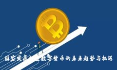 国家发展加密数字货币的