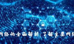 加密货币网络的全面解析