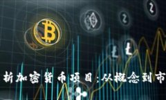 全面解析加密货币项目：