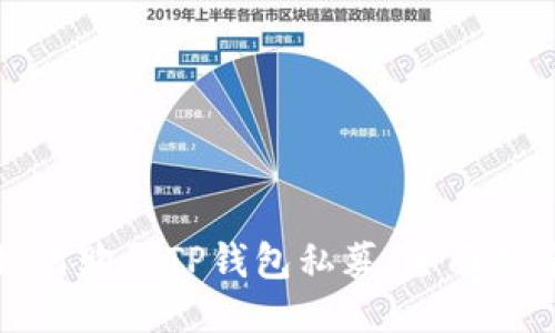 如何购买TP钱包私募：全面指南