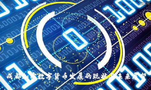 成都加密数字货币发展的现状与未来展望