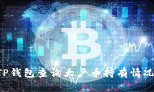 如何通过TP钱包查询大户币持有情况：全面指南