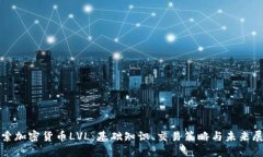 探索加密货币LVL：基础知