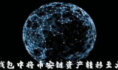 如何在TP钱包中将币安链资