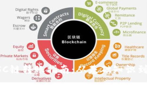 TP钱包BSC链转账指南：从基础知识到实用技巧