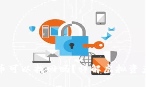 tp钱包转出去的币可以找回吗？详解虚拟资产安全与追回技巧