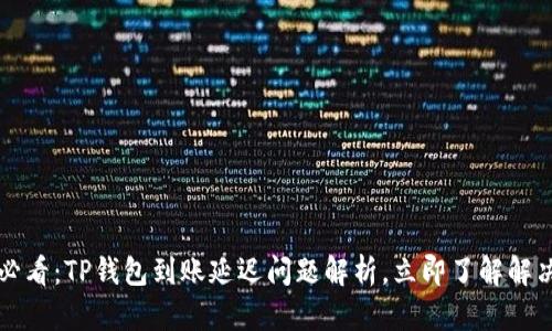 2025必看：TP钱包到账延迟问题解析，立即了解解决方案！