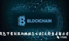 TP钱包下载到假的地址怎么