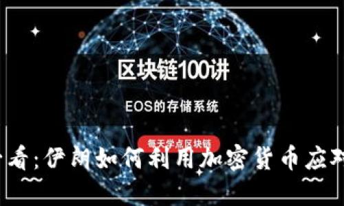 2025年必看：伊朗如何利用加密货币应对经济制裁