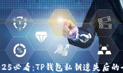 
切勿慌张！2025必看：TP钱包私钥遗失后的全面应对指南