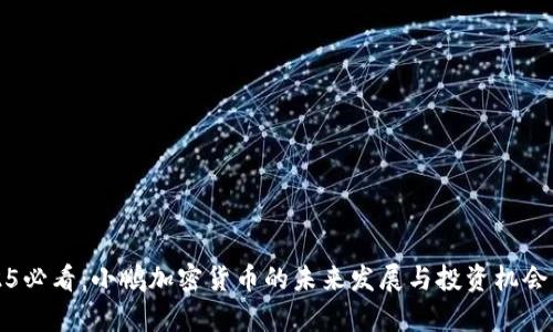 2025必看：小鹏加密货币的未来发展与投资机会分析