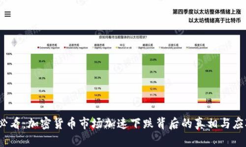 2025必看：加密货币市场加速下跌背后的真相与应对策略