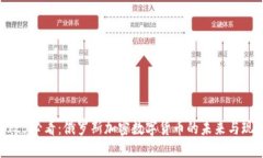 2025必看：俄罗斯加密数字