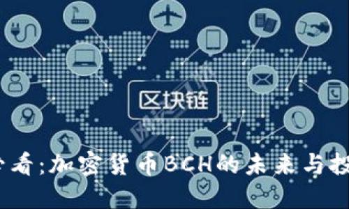 2025必看：加密货币BCH的未来与投资机会