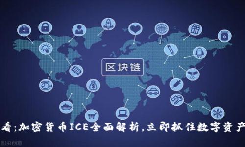 2025必看：加密货币ICE全面解析，立即抓住数字资产的未来！