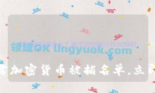 2025必看：揭露加密货币被捕名单，立即了解背后真相