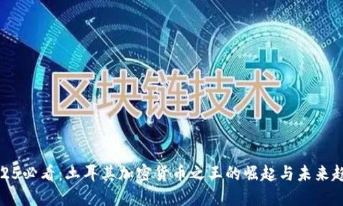 2025必看：土耳其加密货币之王的崛起与未来趋势